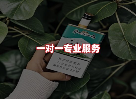 专业团队